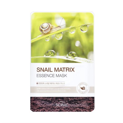 SCINIC Маска с эссенцией Snail Matrix 1P