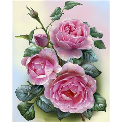 Картина по номерам 40х50 - Розовые розы