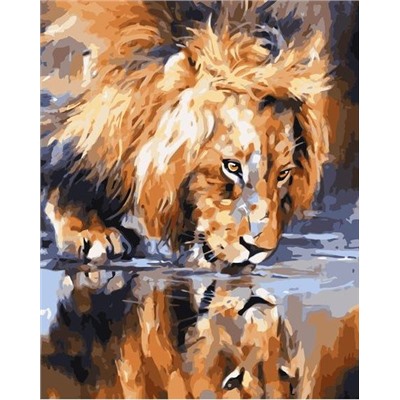 Картина по номерам 40х50 - Лев у водопоя