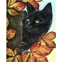 Картина по номерам 40х50 - Чёрный котёнок