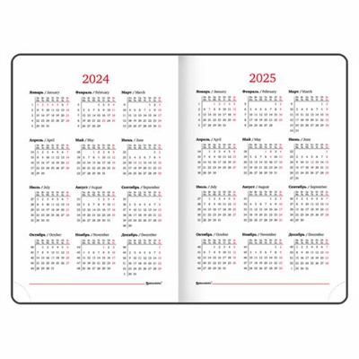 Ежедневник датированный 2024 А5 138x213 мм BRAUBERG "Control", под кожу, держатель для ручки, сиреневый, 114919