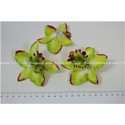 Головка Орхидея цимбидиум мелкая (упаковка 20 штук)