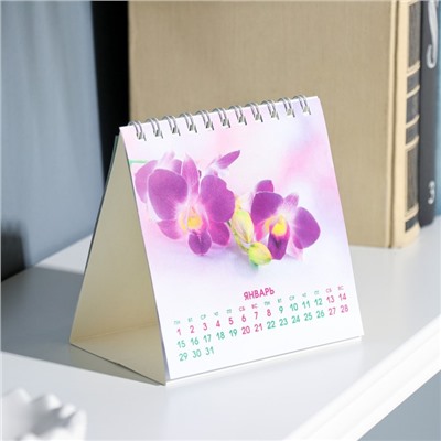 Календарь настольный, домик "Аромат цветов" 2024, 10х10 см