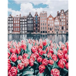 Картина по номерам 40х50 - Голландские тюльпаны