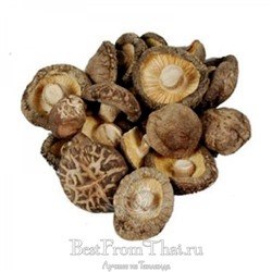 Сушеные грибы шиитаке 100 гр