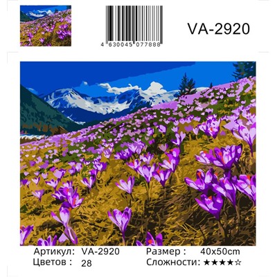 Картина по номерам 40х50 - Пурпурное поле