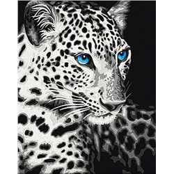 Картина по номерам 40х50 - Черно-белый леопард