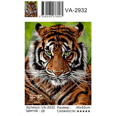 Картина по номерам 40х50 - Суровый тигр