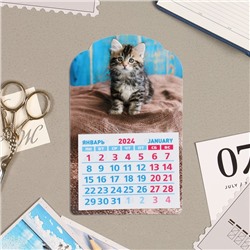 Календарь отрывной на магните "Котёнок" 2024 год, вырубка, 9,5х15 см