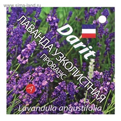 Семена цветов Лаванда узколистная "Прованс", Мн, DARIT 0,1 г