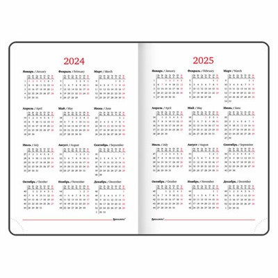 Ежедневник датированный 2024 А5 138х213 мм BRAUBERG "Impression", под кожу, черный, 115002