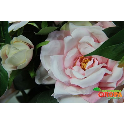 Букет Роза шиповник крупная 9 стеблей