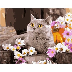 Картина по номерам 40х50 - Бежевый котик