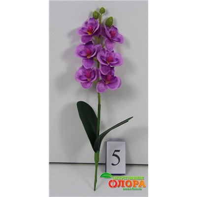 Орхидея миниатюрная, 1 веточка