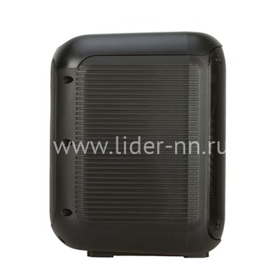 Колонка 08" (30-10 DANCE BOX 300) динамик 1шт/8" ELTRONIC с TWS