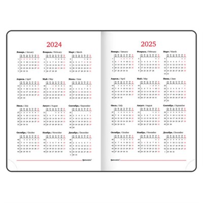 Ежедневник датированный 2024 А5 138x213 мм BRAUBERG "Legend", под кожу, застежка, серый, 114862