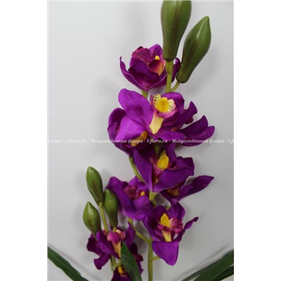 Орхидея Цимбидиум горшечная (050816)