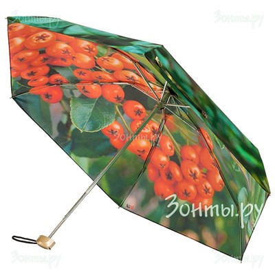 Мини зонт "Рябина" Rainlab 006MF