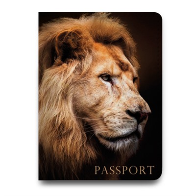 Обложка на паспорт 55121030