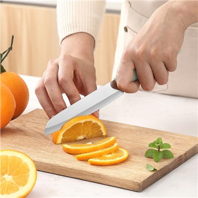 Нож для фруктов из нержавеющей стали НФ-1 салатовый