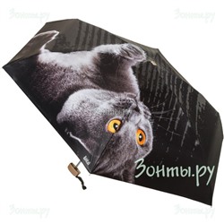 Мини зонт "Британский кот" Rainlab 087MF