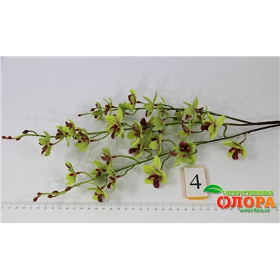 Ветка орхидея фаленопсис миниатюрная