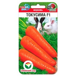 Морковь Токусима F1