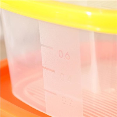 Набор пищевых контейнеров «BioFresh», 4 шт: 0,23 л, 0,5 л, 0,9 л, 1,55 л, цвет микс