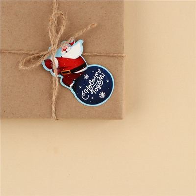 Шильдик декоративный на подарок «Дед Мороз на шаре», 4,6 × 7 см