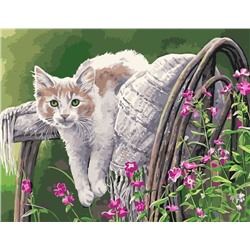 Картина по номерам 40х50 - Ленивый кот