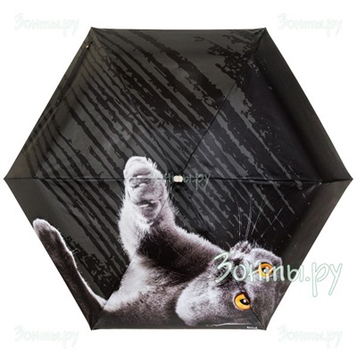 Мини зонт "Британский кот" Rainlab 087MF