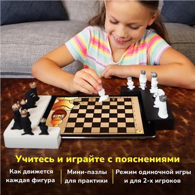 Shifu Настольная игра Tacto Шахматы