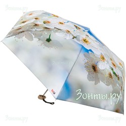 Мини зонт "Яблоня" Rainlab 010 MiniFlat