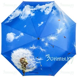 Зонт "Одуванчик" RainLab 013