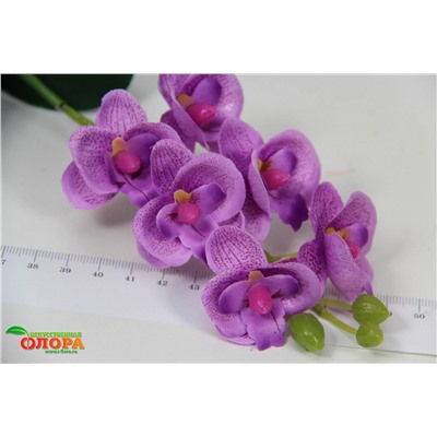 Орхидея миниатюрная, 1 веточка