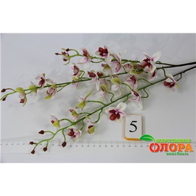 Ветка орхидея фаленопсис миниатюрная