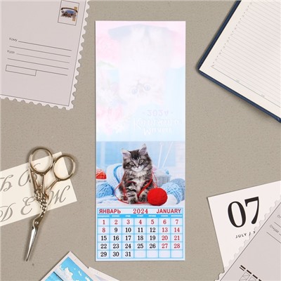Календарь отрывной на магните "Милые котята" 2024 год, 9,4х13 см