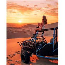 Картина по номерам 40х50 - Девушка на багги в пустыне