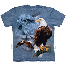 Футболка "Faded Flag and Eagles" (США)