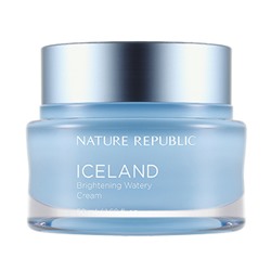 NATURE REPUBLIC ICELAND Увлажняющий крем для яркости кожи