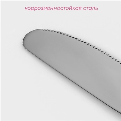 Нож столовый из нержавеющей стали Доляна «Соня», длина 20,5 см, толщина 2 мм, цвет серебряный