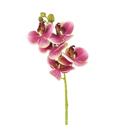 Цветок искусственный (на ножке) "Орхидея бордовая" h=70см. (min36) (транспортная упаковка)