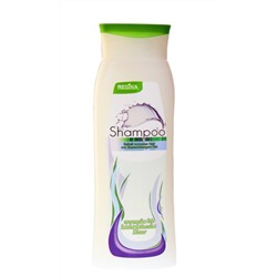 Regina Shampoo normales bis leicht fettendes Haar Шампунь для нормалъных и легко жирных волос, 300 мл