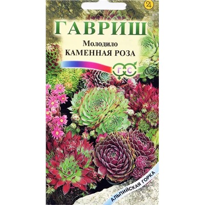 Семена Молодило Каменная роза, арт.: 4795