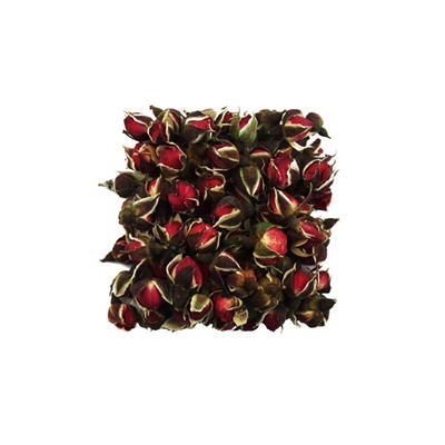 Роза юньнаньская (бутоны) арт.  01822