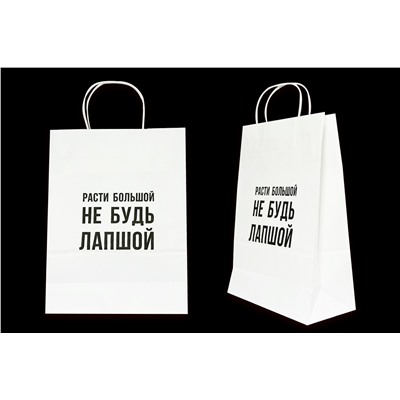 Пакет подарочный- Расти большой не будь лапшой- белый