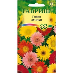 Семена Гербера Лучики, арт.: 4678