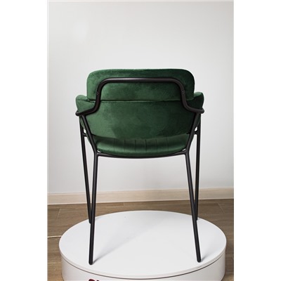 Стул SHT-S143
                        лиственно-зеленый / черный муар