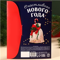 Адвент календарь «Счастливого года», 12 шт. по 5 г.