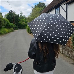 L501-4479 SmileySpot (Смайлы) Зонт женский механика Fulton